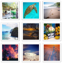 Load image into Gallery viewer, Nature Note Cards