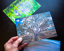 Load image into Gallery viewer, Assortment of grief kind cards with thoughtful messages to heal.