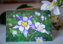 Load image into Gallery viewer, Spring Wildflower Collection