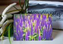 Load image into Gallery viewer, Spring Wildflower Collection