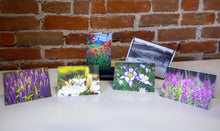 Load image into Gallery viewer, Buy our beautiful set of unique flower nature cards to send to friends and family.