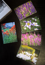Load image into Gallery viewer, set of wildflower cards