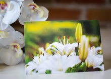 Load image into Gallery viewer, Spring Wildflower Collection