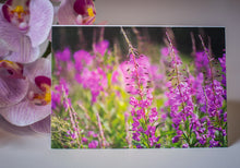 Load image into Gallery viewer, Spring Wildflower Collection