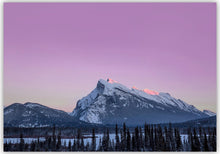 Load image into Gallery viewer, Best selling nature greeting cards.