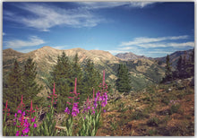 Load image into Gallery viewer, nature photography greeting cards