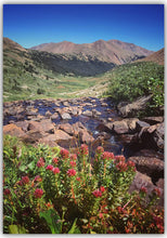 Load image into Gallery viewer, nature blank greeting cards