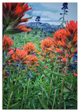 Load image into Gallery viewer, Colorful stationery to pass along.