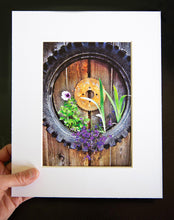 Load image into Gallery viewer, Occasion Collection