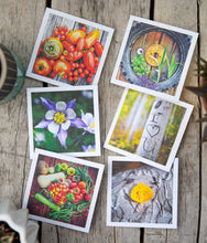 Load image into Gallery viewer, Nature Note Cards
