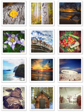 Load image into Gallery viewer, Nature Note Cards
