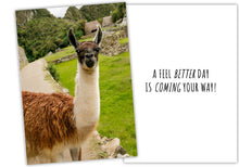 Load image into Gallery viewer, Feel Better llama greeting cards.
