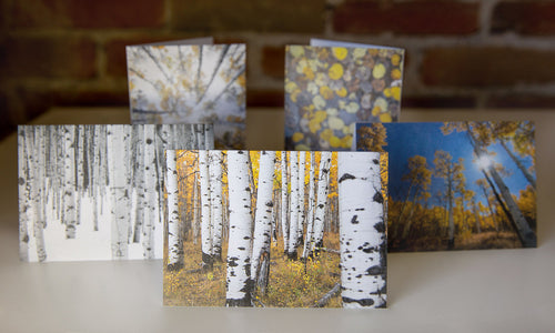 Shop our aspen collection nature cards to stay connected with friends and family.